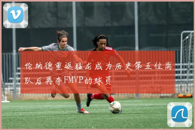 伦纳德重返猛龙成为历史第五位离队后再夺FMVP的球员