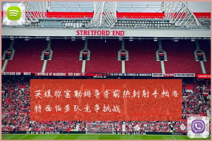 英媒称富勒姆争夺前热刺射手帕洛特面临多队竞争挑战